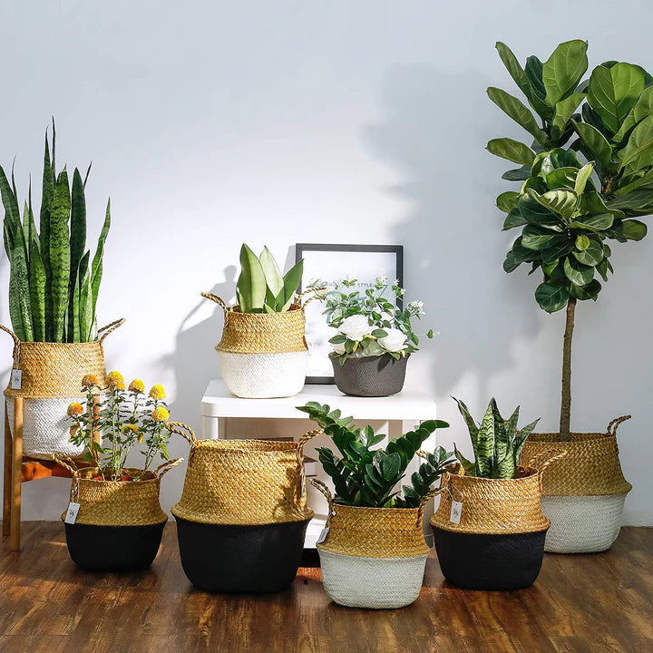Straw Woven Belly Basket